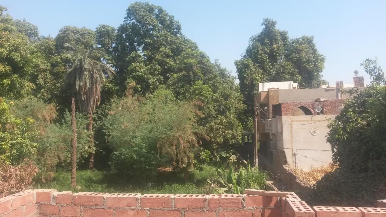 Shater Nubian House Assuan Esterno foto